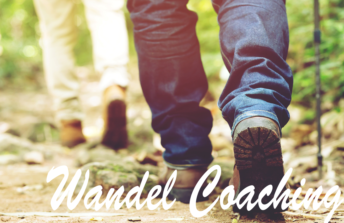 Wandelcoaching in de buitenlucht